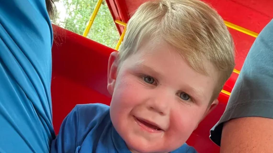 Georgia Toddler Fight Life After 150 Yellowjacket Stings
