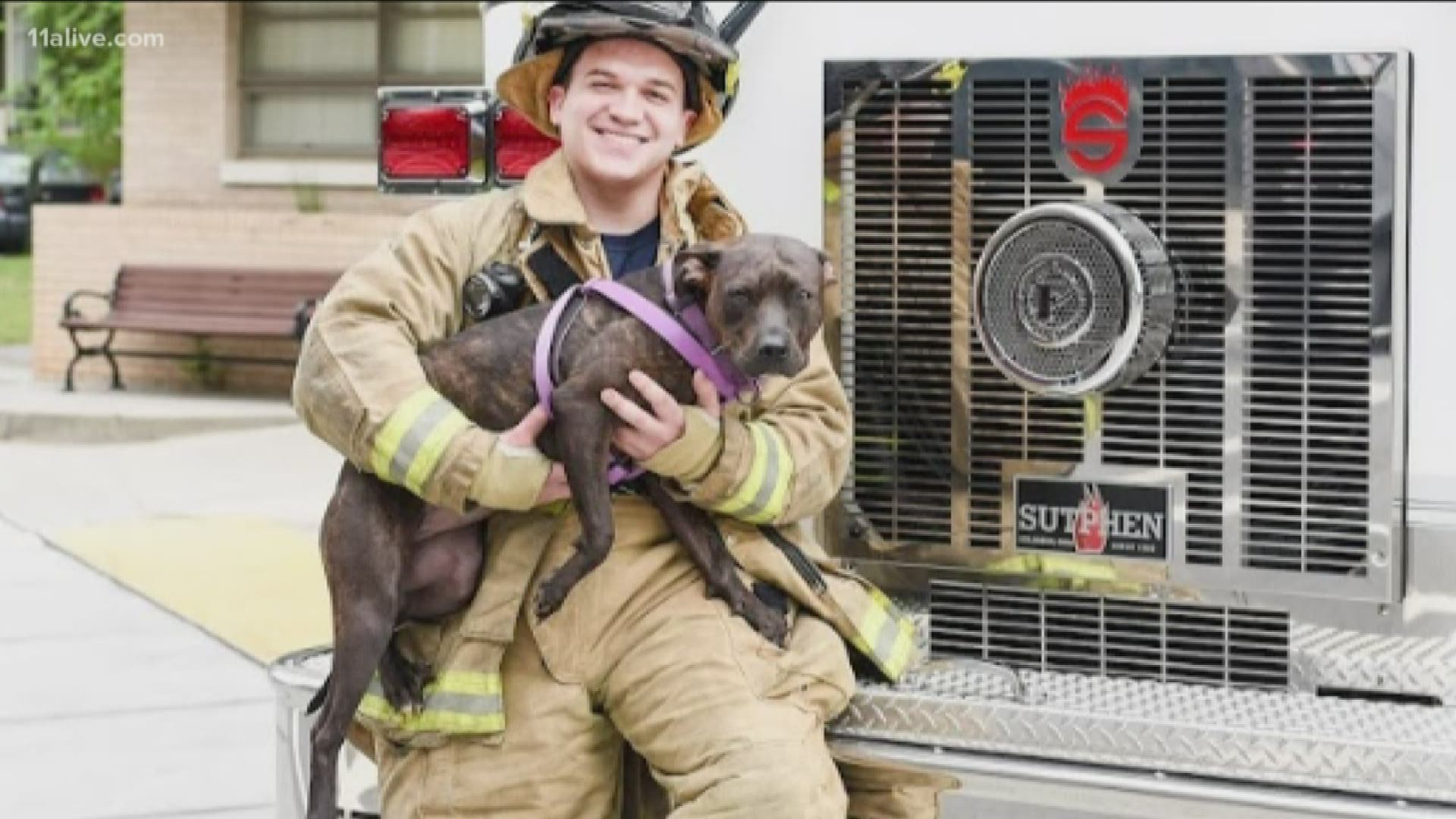 The Decatur Fire Station is teaming up with the Lifeline Animal Project to help find homeless dogs their forever homes.