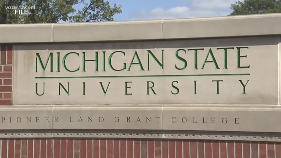 Msu Health Insurance Visiting International Professional Msu Health Insurance Visiting International Professional